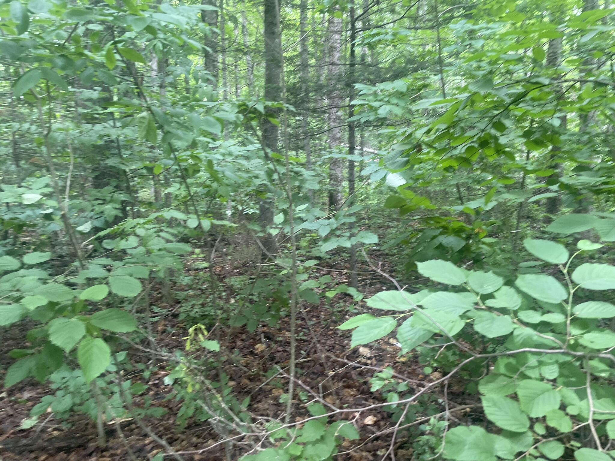 1075 Hill Road Clinton, ME 04927 - Photo 126 of 172 IMG_6224