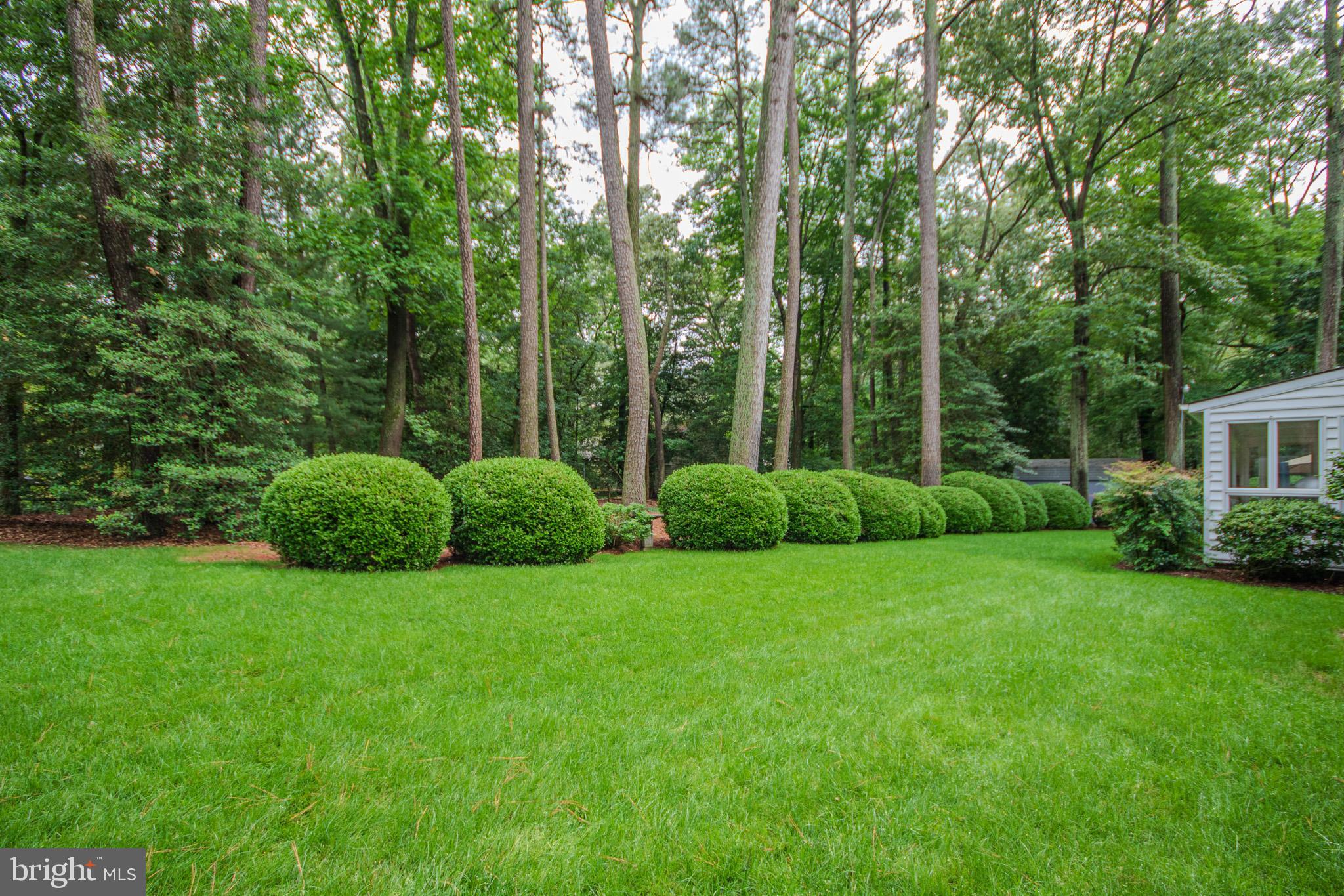 29745 Jackson Road Salisbury, MD 21804 - Photo 57 of 77