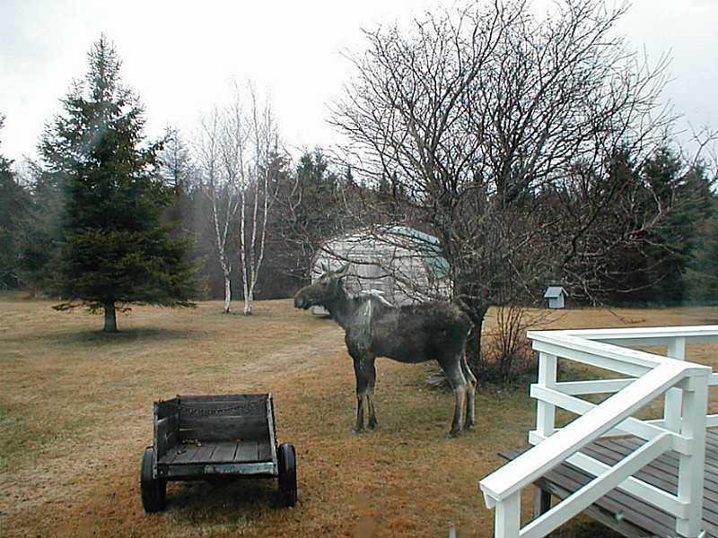 796 Jackins Settlement Road Orient, ME 04471 - Photo 16 of 20 Other.