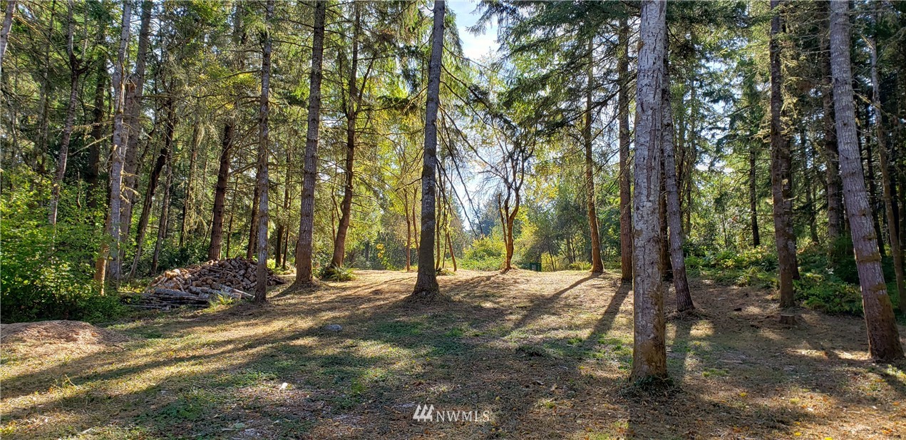17613 Rouse Road Southwest Longbranch, WA 98351 - Photo 23 of 38 a view of outdoor space and yard