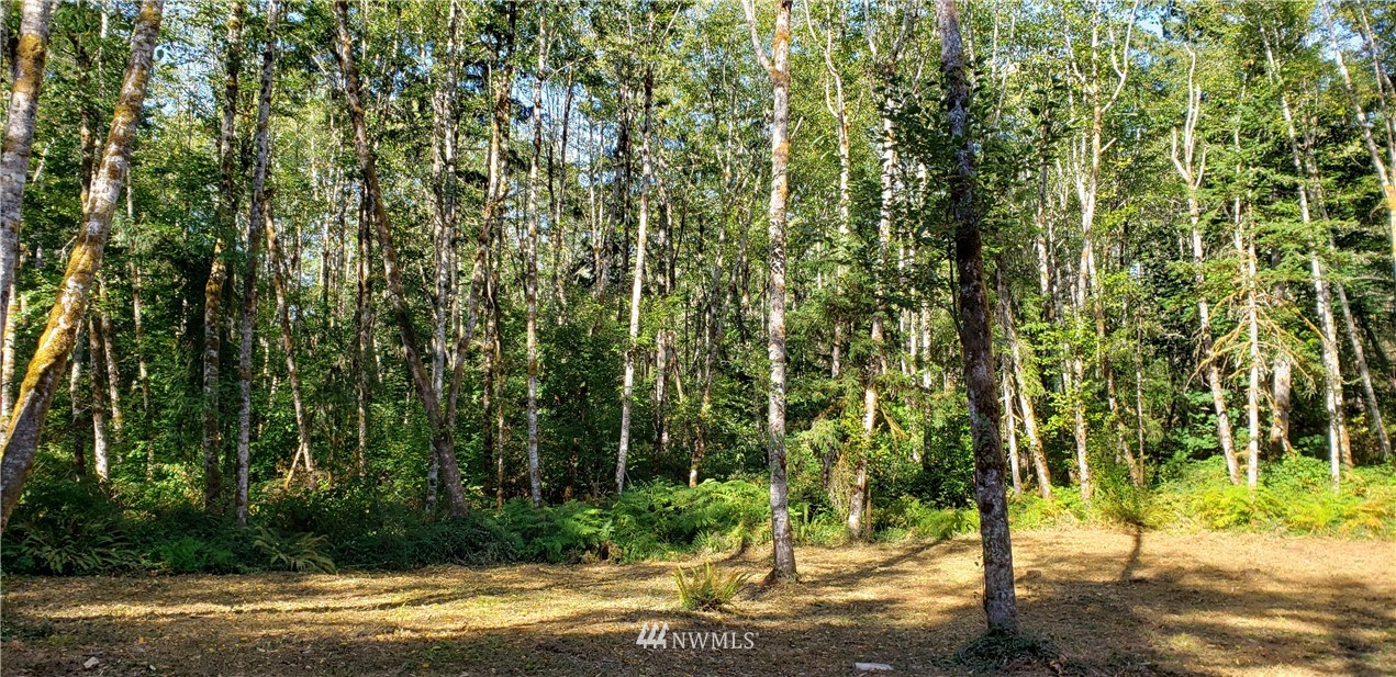 17613 Rouse Road Southwest Longbranch, WA 98351 - Photo 25 of 38 a view of a yard