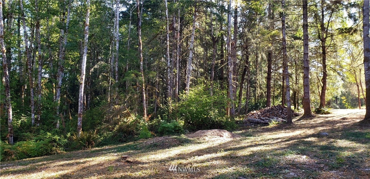 17613 Rouse Road Southwest Longbranch, WA 98351 - Photo 28 of 38 a view of a backyard with plants and trees
