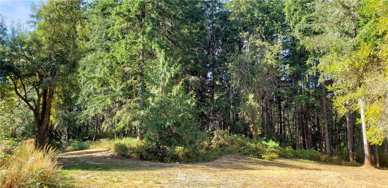 17613 Rouse Road Southwest Longbranch, WA 98351 - Photo 30 of 38 a view of outdoor space and yard