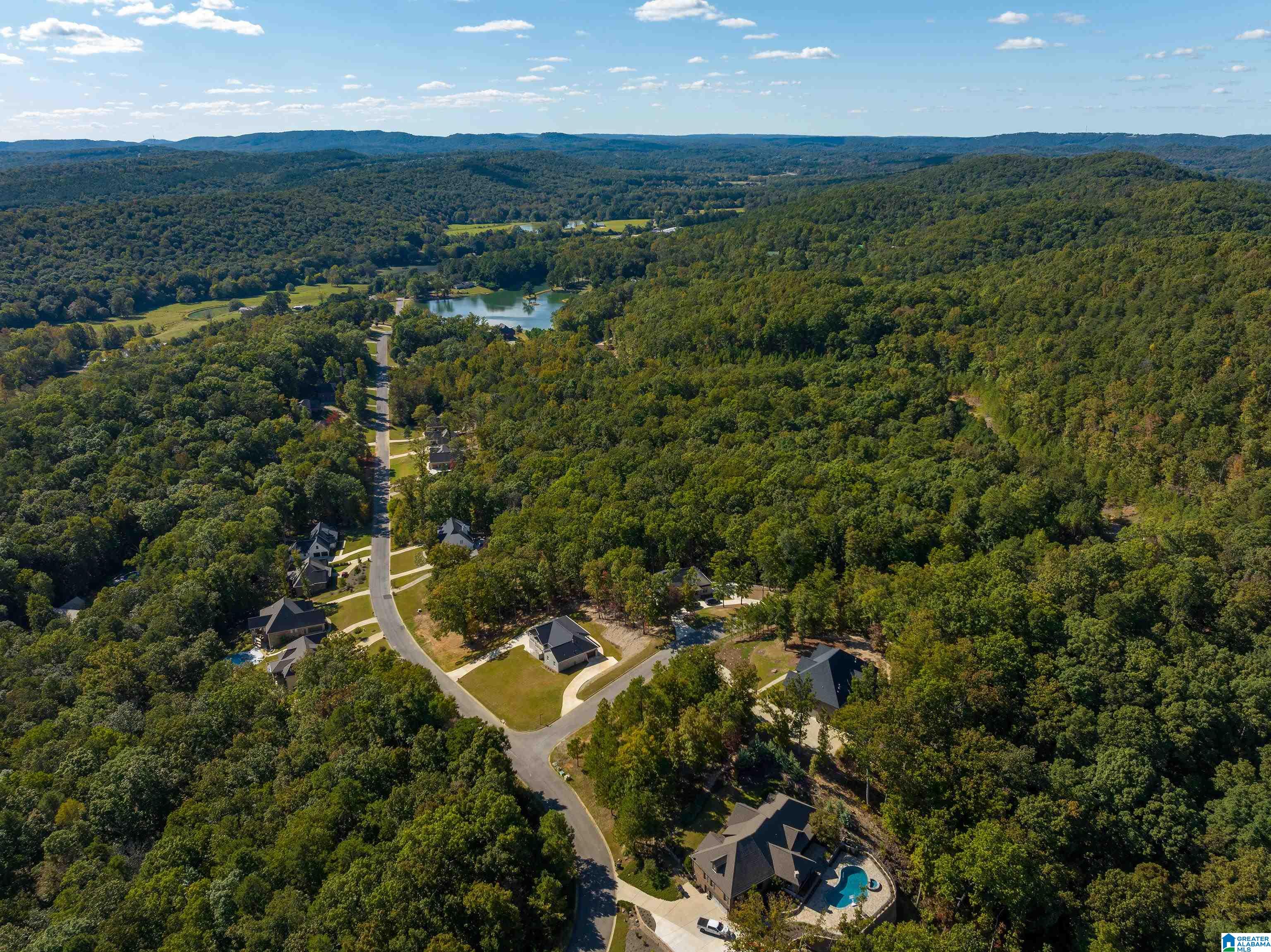 965 Redhawk Ridge Springville, AL 35146 - Photo 46 of 50