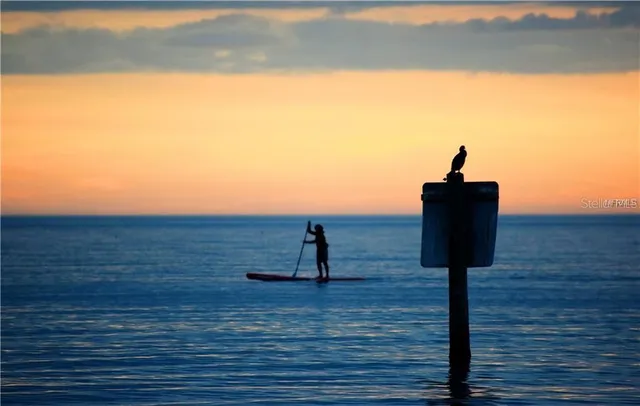 a view of ocean with a palm tree