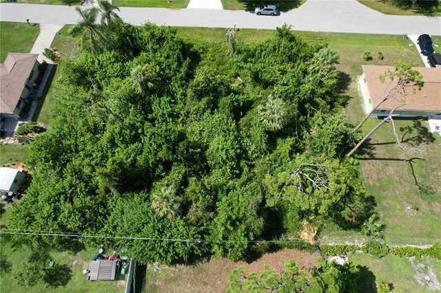 an outdoor view of garden