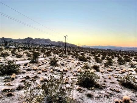 68 Sunkist Road Joshua Tree, CA 92252 - Photo 5 of 7