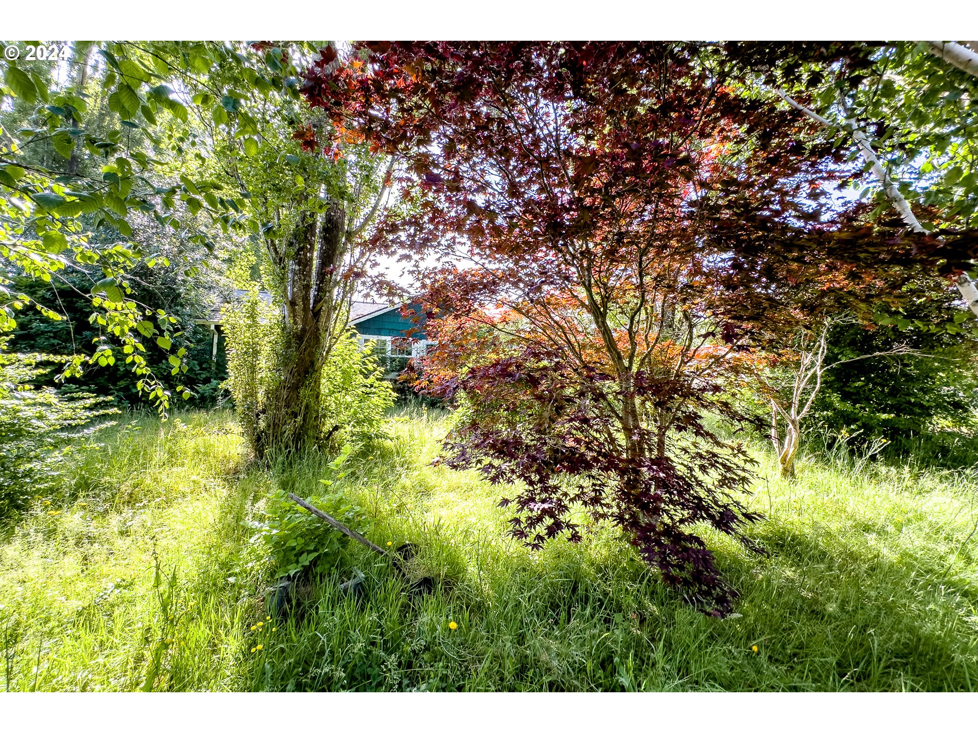 90896 Lewis And Clark Road Astoria, OR 97103 - Photo 19 of 25 Gallery Image 19