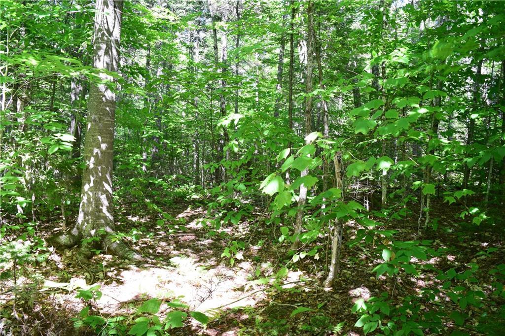 Map 15-lot Map 15-lot Gardiner Point Rd Mount Mount Chase, ME 04765 - Photo 5 of 12 Photo