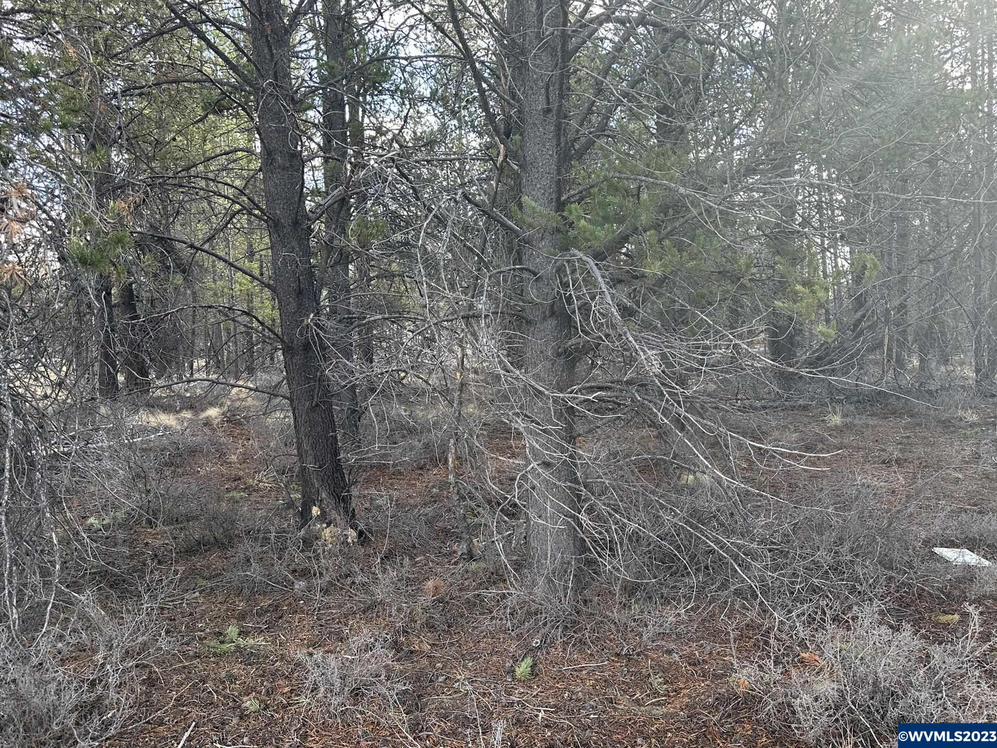 Split Rail Road La Pine, OR 97739 - Photo 5 of 26 Gallery Image 5