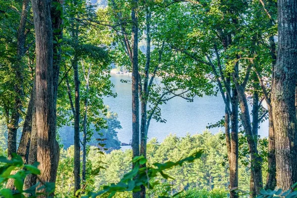 a view of outdoor space with trees