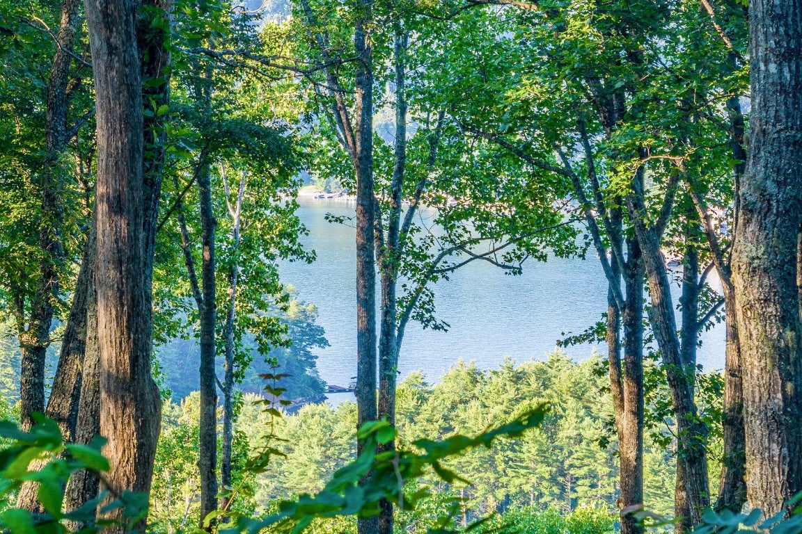 8 South Ridgeline Road Sylva, NC 28779 - Photo 1 of 19 Gallery Image 1