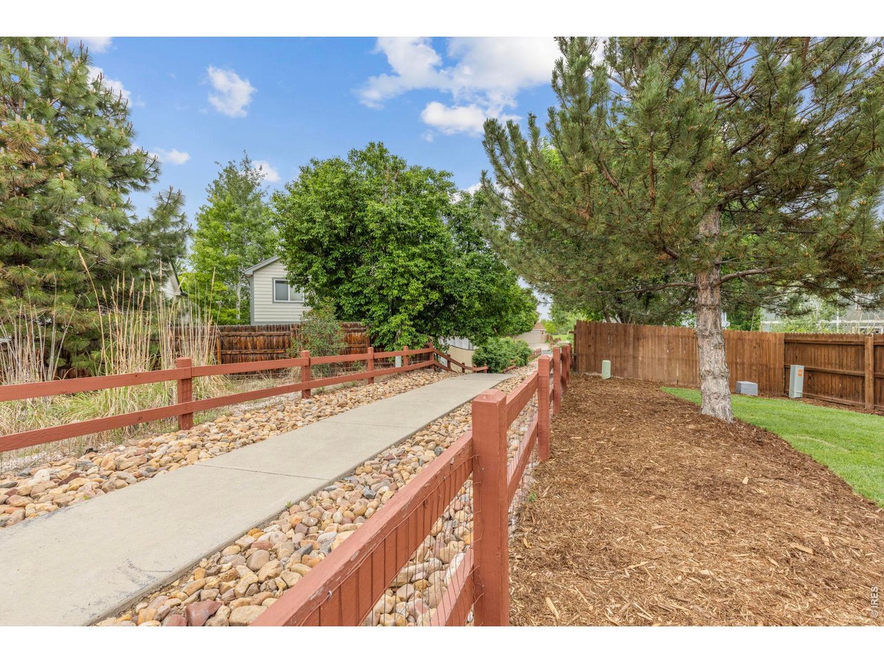 6531 St Vrain Ranch Boulevard Firestone, CO 80504 - Photo 25 of 30 a view of a backyard with a tree