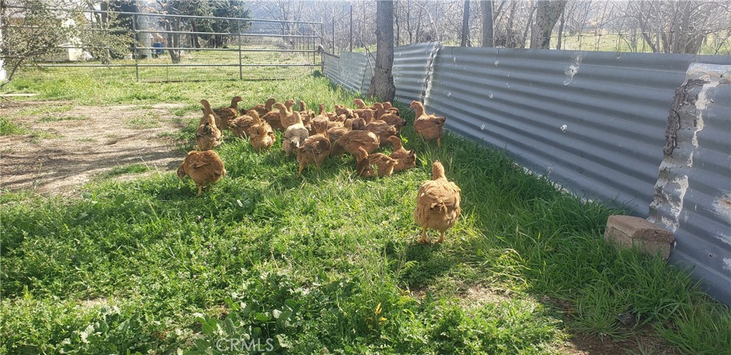 57745 Bailey Road Anza, CA 92539 - Photo 46 of 74