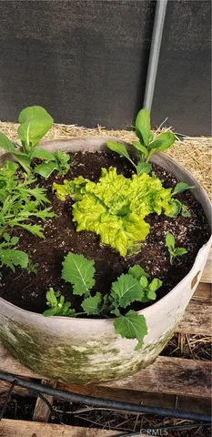 $359,000 | 57745 Bailey Road, Anza, CA 92539