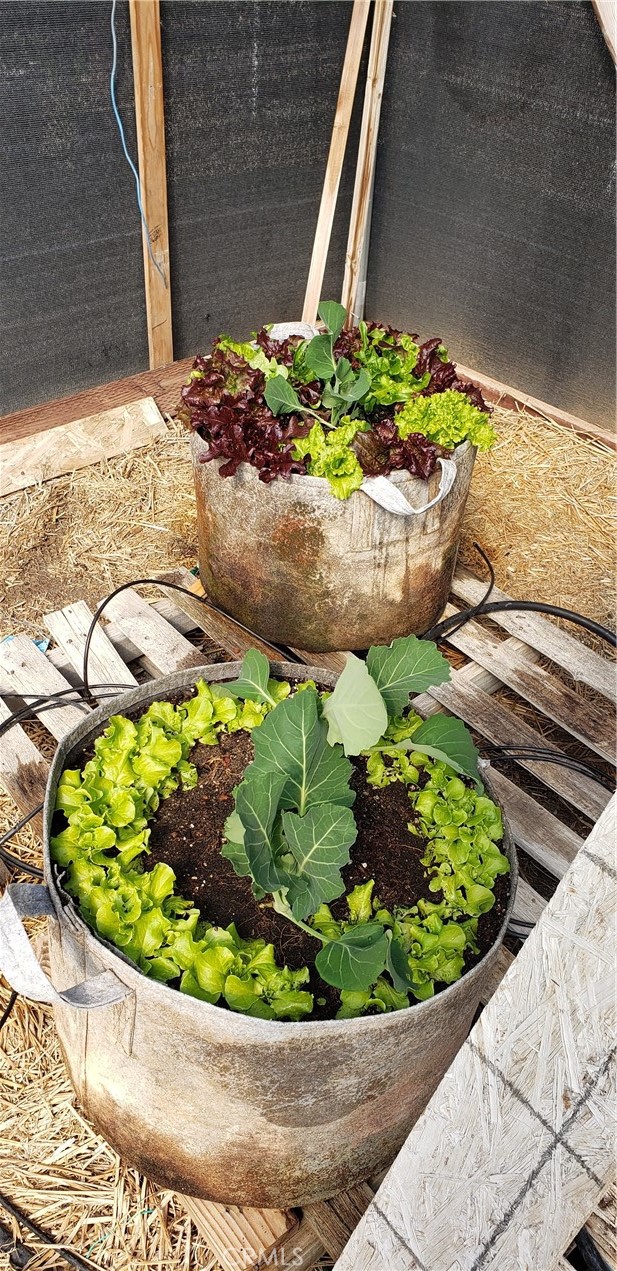 57745 Bailey Road Anza, CA 92539 - Photo 49 of 74