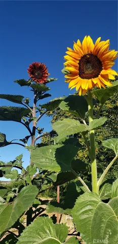 $363,000 | 57745 Bailey Road, Anza, CA 92539