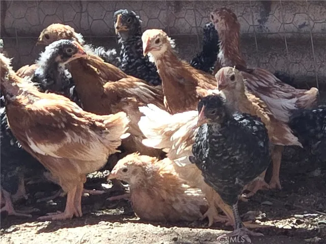 $359,000 | 57745 Bailey Road, Anza, CA 92539