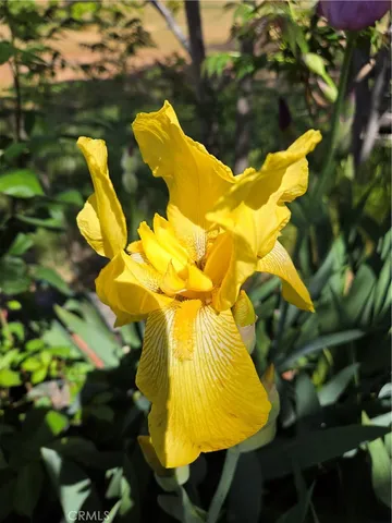 $363,000 | 57745 Bailey Road, Anza, CA 92539