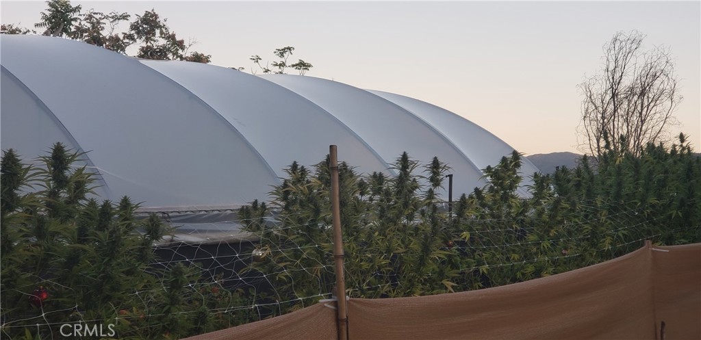 57745 Bailey Road Anza, CA 92539 - Photo 57 of 74