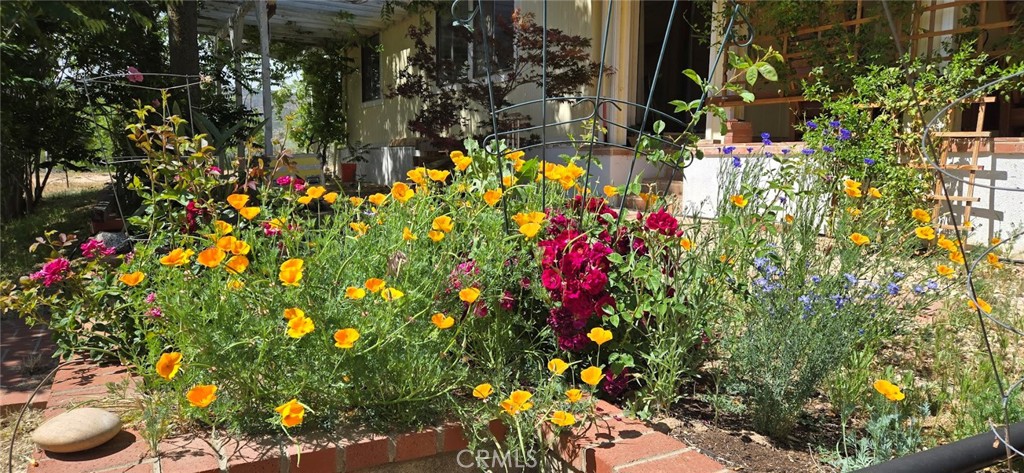 57745 Bailey Road Anza, CA 92539 - Photo 59 of 74