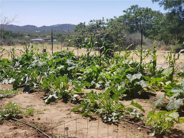 $359,000 | 57745 Bailey Road, Anza, CA 92539