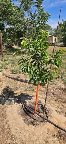 $359,000 | 57745 Bailey Road, Anza, CA 92539