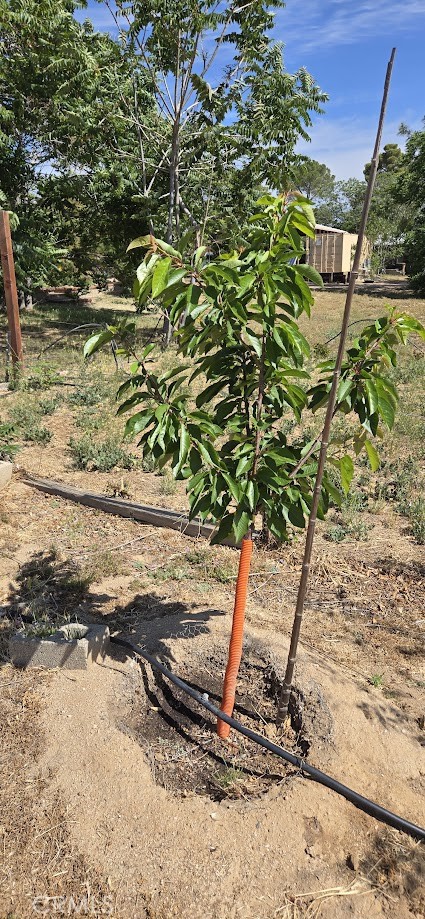 57745 Bailey Road Anza, CA 92539 - Photo 62 of 74