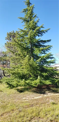 $359,000 | 57745 Bailey Road, Anza, CA 92539