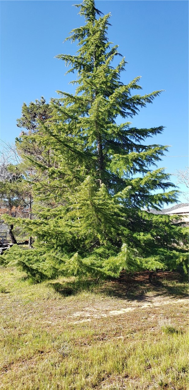 57745 Bailey Road Anza, CA 92539 - Photo 74 of 74