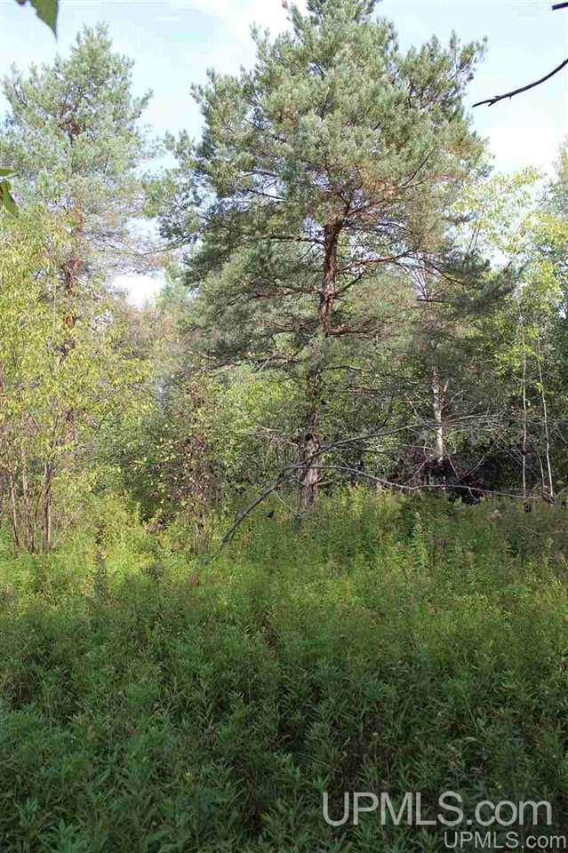 23827 Hulkonen Road Nisula, MI 49952 - Photo 12 of 44 Gallery Image 12