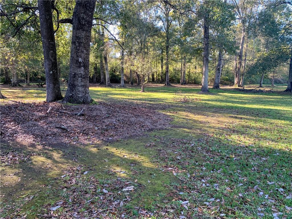 18483 Sister's Road Ponchatoula, LA 70454 - Photo 7 of 9 Gallery Image 7