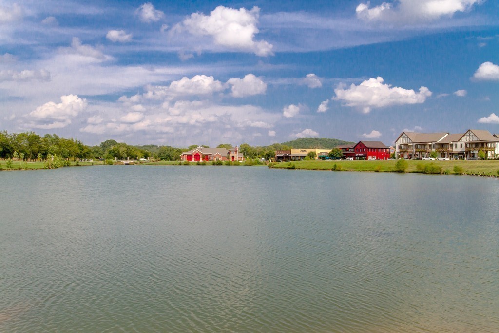 318 Byron Way Franklin, TN 37064 - Photo 49 of 53 a view of a lake and houses in the back