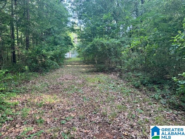 104 Shell Lane Pell City, AL 35125 - Photo 9 of 10