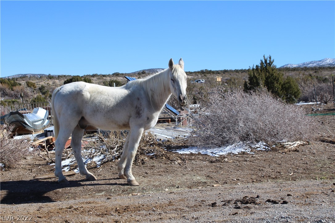 Lonesome Elk Road Cold Creek, NV 89124 - Photo 23 of 45 Gallery Image 23