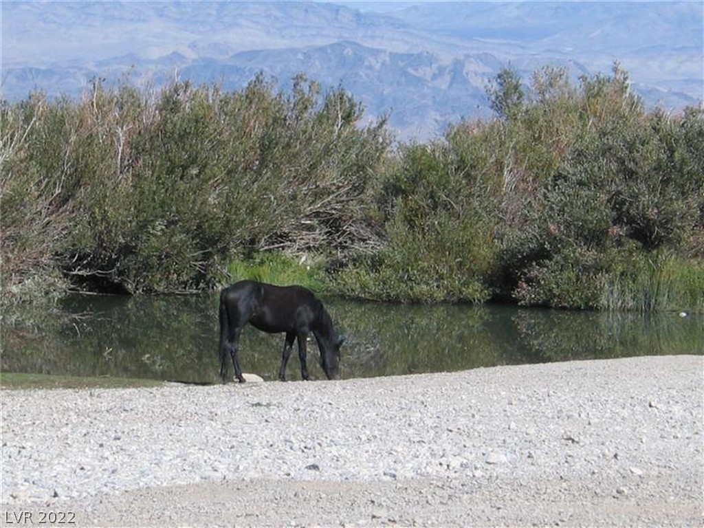 Lonesome Elk Road Cold Creek, NV 89124 - Photo 42 of 45 Gallery Image 42