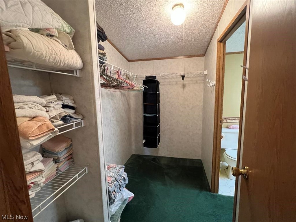 59555 Eldon Road Quaker City, OH 43773 - Photo 17 of 23 Gallery Image 17