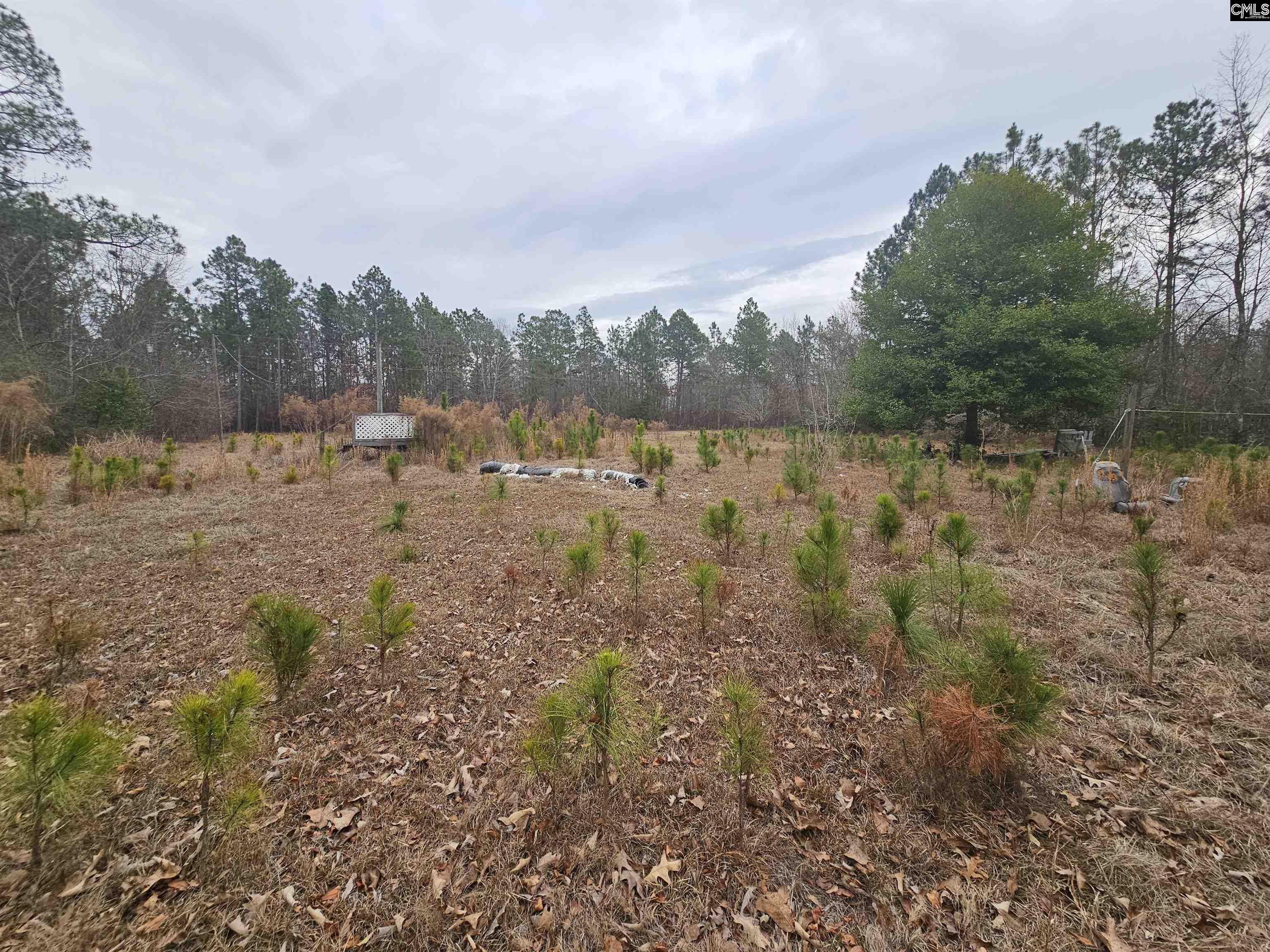 722 Jeff Sharpe Road Gaston, SC 29053 - Photo 11 of 18