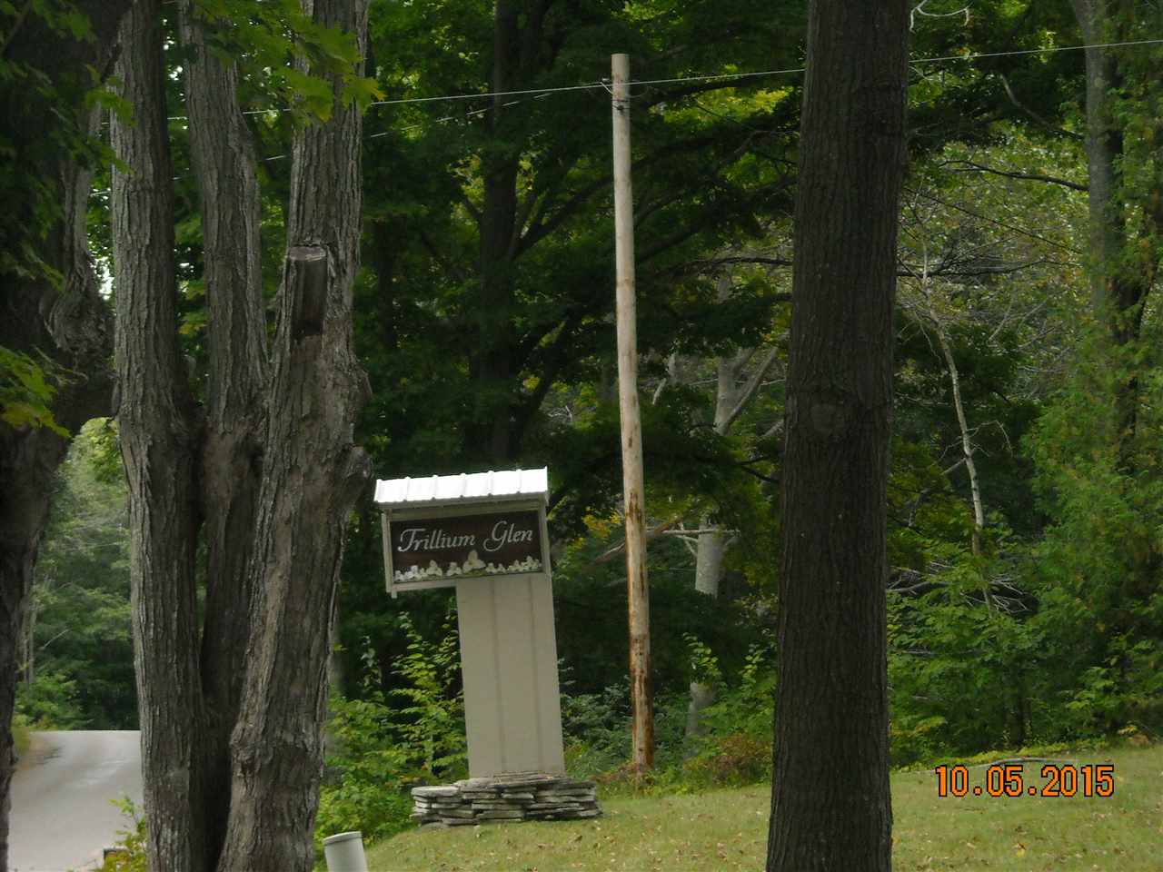 3533 Casey Road Frankfort, MI 49635 - Photo 1 of 35 1807384.JPG