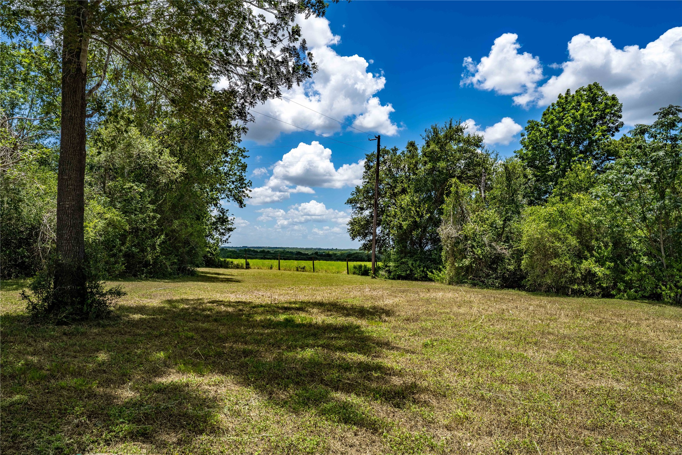 533 Bybee Road Round Top, TX 78954 - Photo 10 of 34 Gallery Image 10