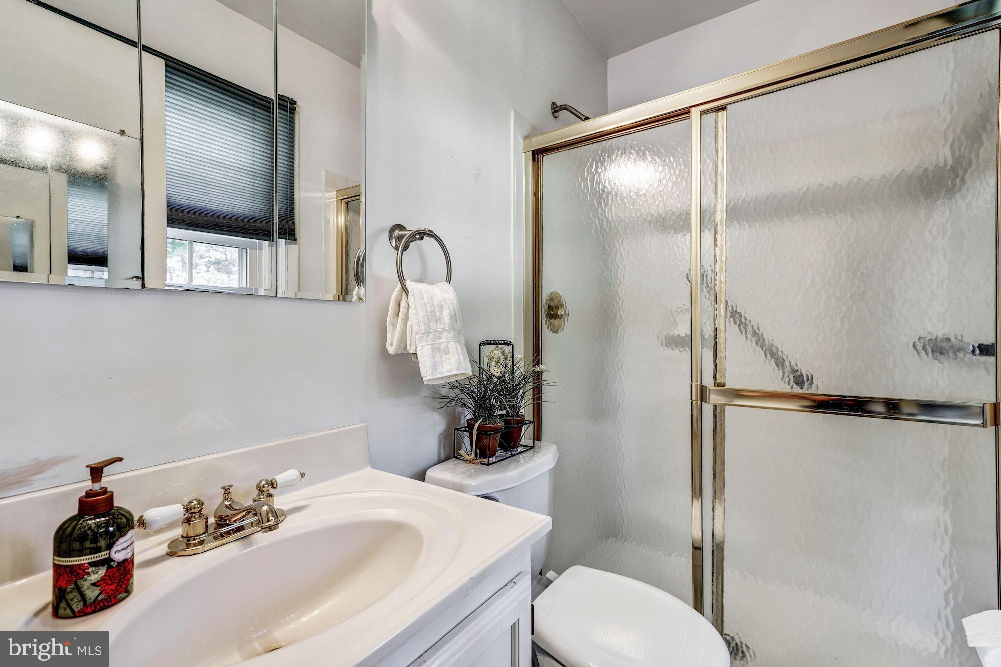 3409 Ramsgate Terrace Alexandria, VA 22309 - Photo 9 of 43 Master bath