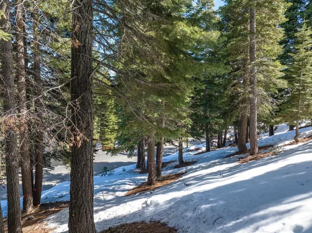 a street sign on a sidewalk next to a road
