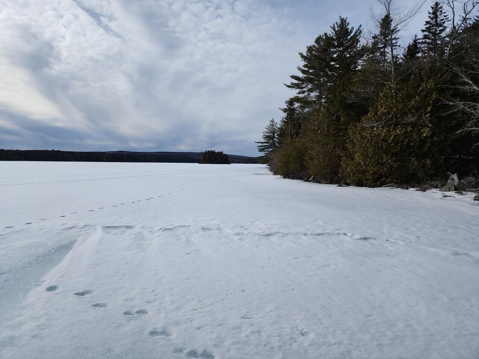 Lot 11 Birch Point Road Cooper, ME 04657 - Photo 6 of 21 20230313_160853