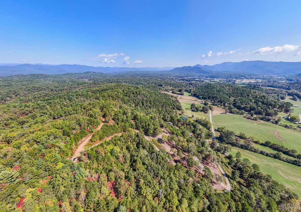 0 Mistletoe Ridge Murphy, NC 28906 - Photo 17 of 34