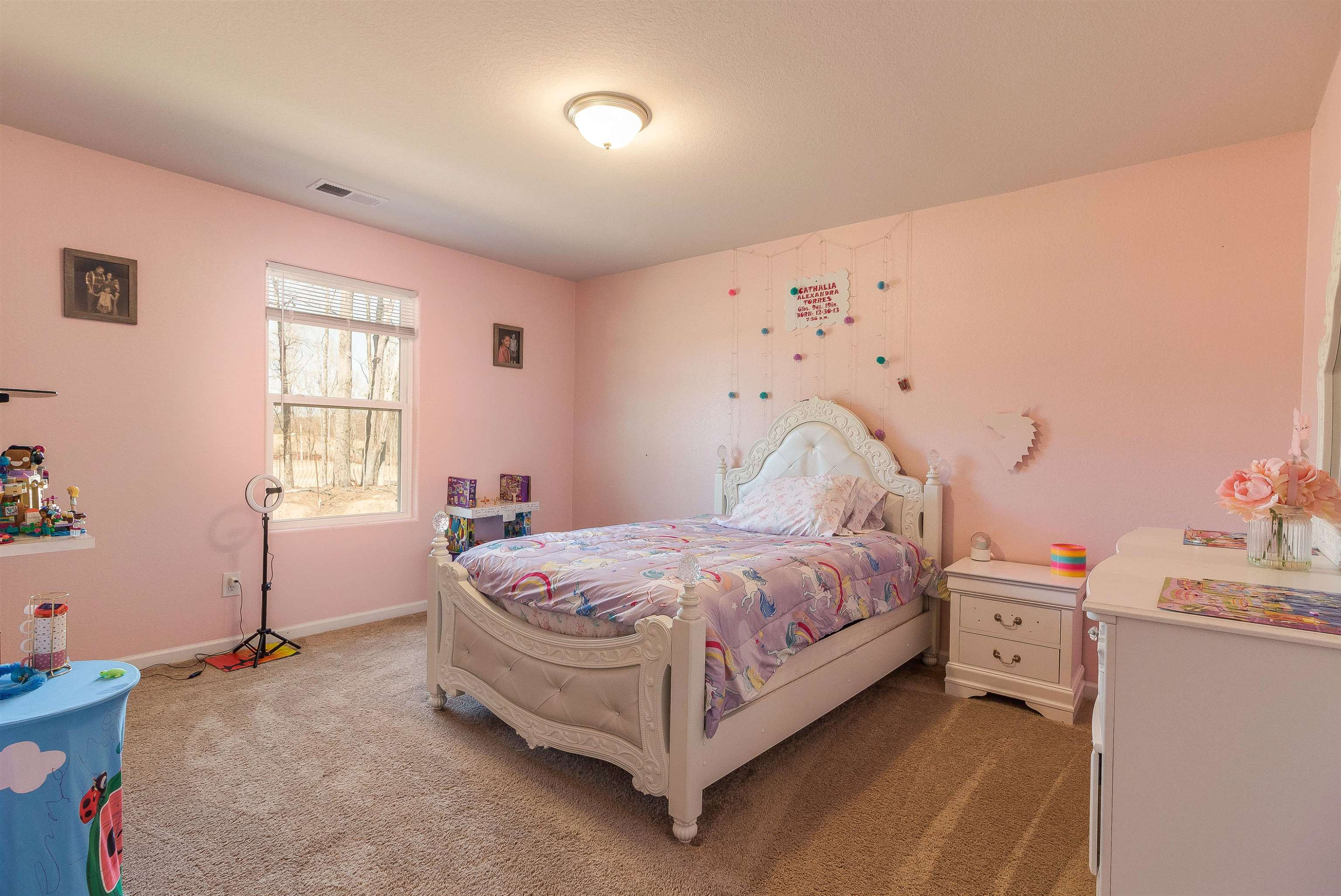 232 Rustling Way Zebulon, NC 27597 - Photo 9 of 15 Photo 9