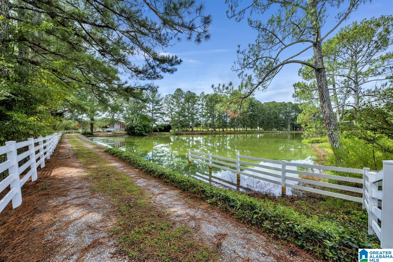 44 Nunnally Lake Road Ohatchee, AL 36271 - Photo 8 of 90