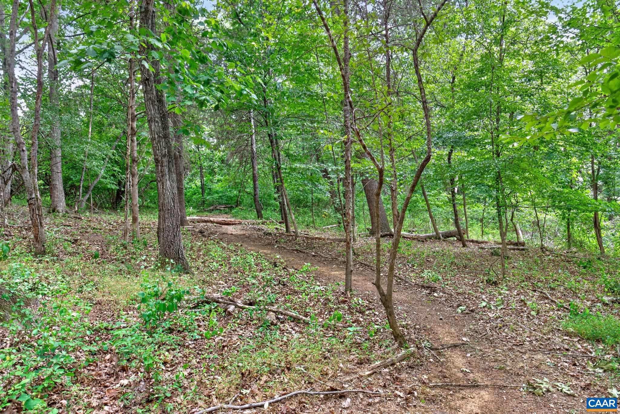 6285 Jarmans Gap Road Crozet, VA 22932 - Photo 50 of 65 a view of outdoor space and trees
