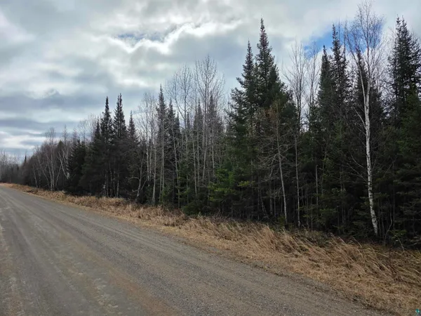 $300,000 | 10-xxx Oja Road, Meadowlands, MN 55765