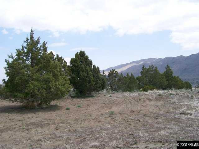110 Alpha Butte Road Reno, NV 89508 - Photo 9 of 9 a view of a dry yard with mountains in the background