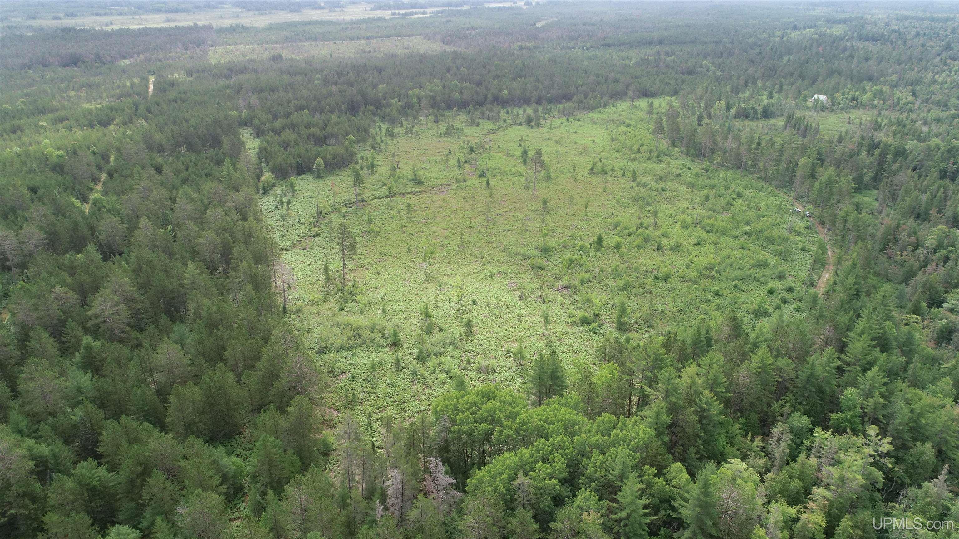 Tbd Tbd Hay Meadow Road Manistique, MI 49854 - Photo 17 of 51
